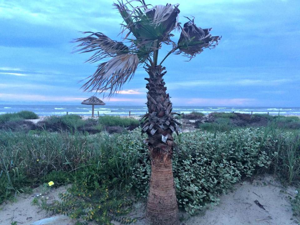 Unobstructed Oceanfront Sea Turtle Unit 2 Beach Pad! Surfside Beach Exteriér fotografie
